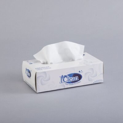 Iclean Facial Tissue Box