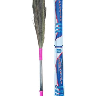 Sapphire broom Iclean
